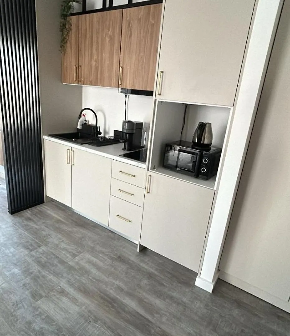 Parcului Apartment Bucharest 0*,
